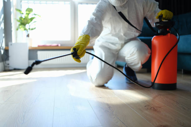 Reliable Infectious Disease Decontamination contractor in Cordesville, SC by Crime Scene Cleaner Online